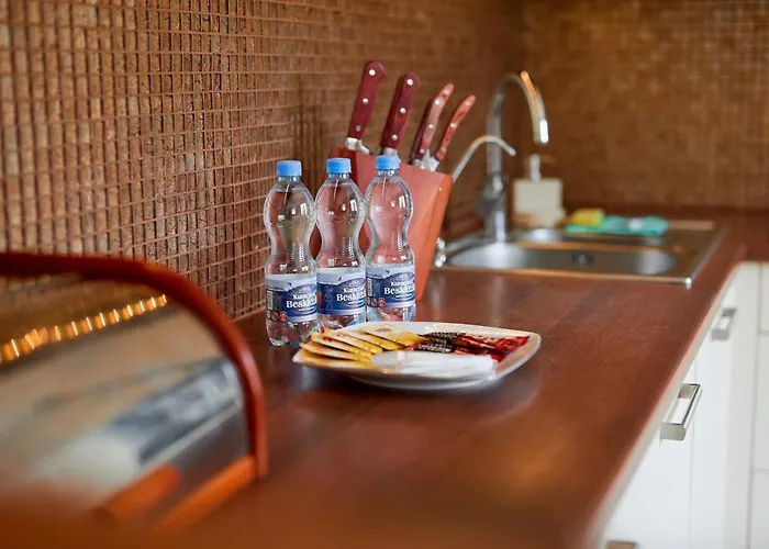 Babiego Lata Spacious Appartement